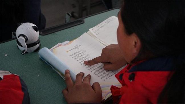 一段6年前的藏式牧歌意外在海外翻红 跨文化传播的魅力