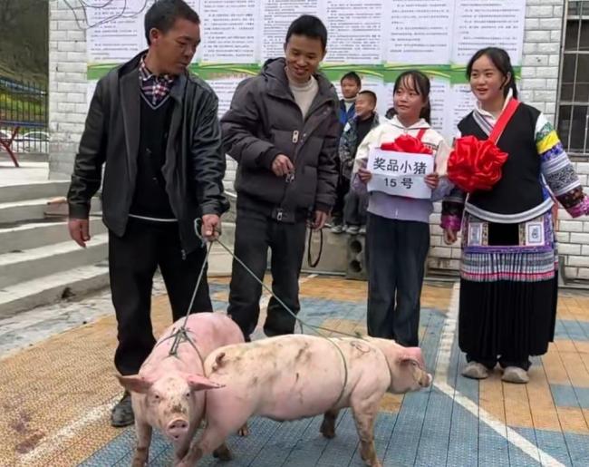 给学生奖24头小猪支教老师发声 传递尊重劳动理念