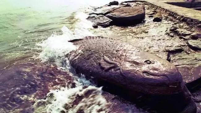 “世界水日”到了！盘点古代治水智慧 古人智慧启迪今人