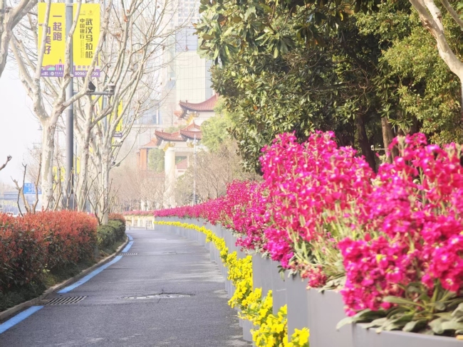 武汉欢乐谷簪花团队为汉马选手加油 春花盛宴助力奔跑