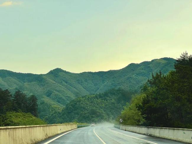 帮助梅姨案家属的记者去世 调查报道先锋离世