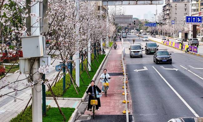 武汉马拉松下起樱花雨