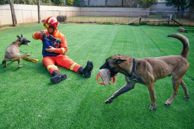 花8000元找猫 结果就在屋里 寻宠争议再起