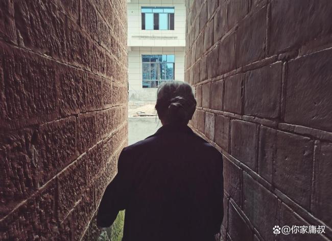 30秒复盘梅姨案追凶历程