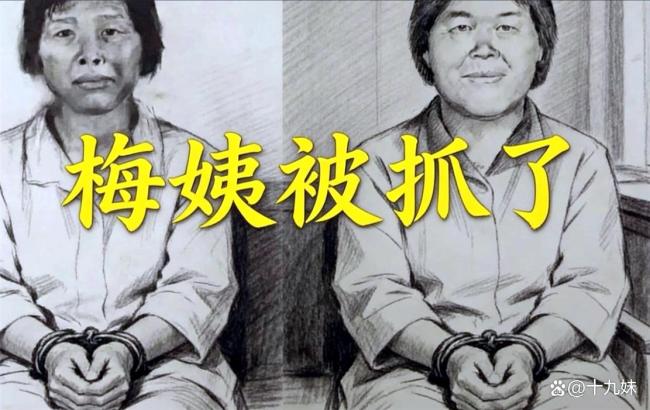 梅姨被逮捕是一个标志性法治事件