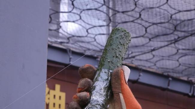 警惕风筝线暗藏的切割危险