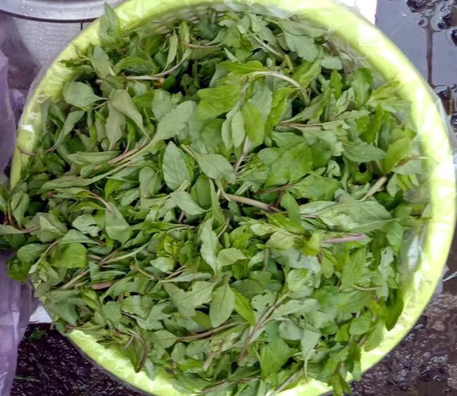 十多种春野菜塞满武汉市民菜篮子 尝鲜热情高涨
