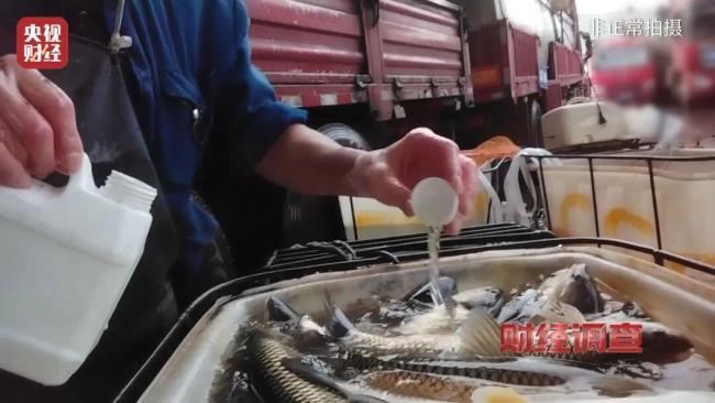 临沂通报“活鱼麻醉”事件 揭秘活鱼“休眠”背后的隐患