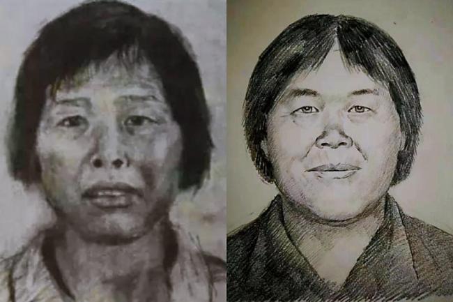 梅姨落网全过程揭秘 正义终到来