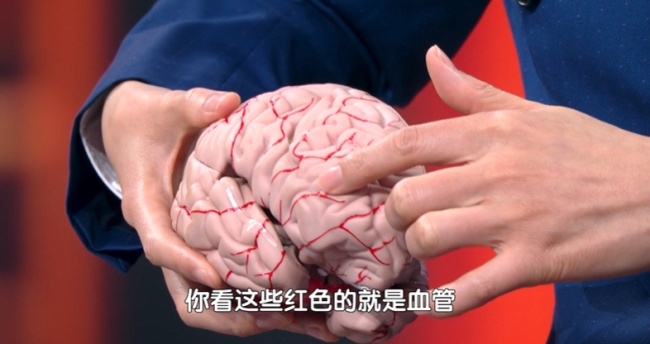 如何让运动真正成为健康“续命剂” 高频率活动呵护大脑