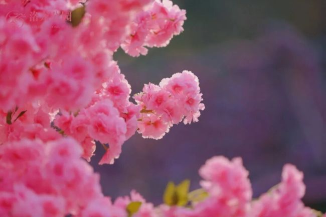 春日ColorWalk治愈了我的精神内耗