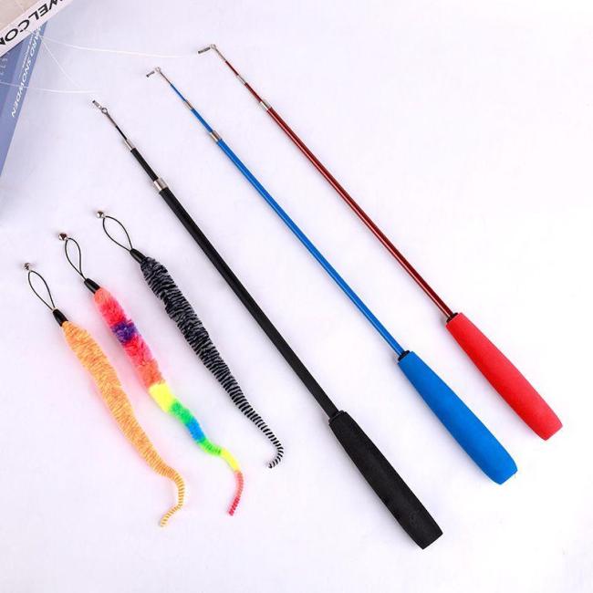 小猫第一次见这么大的逗猫棒 租房族互动新选择