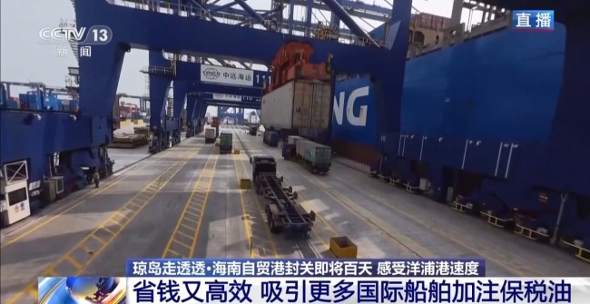 成本降低 洋浦港封关近百天有哪些变化