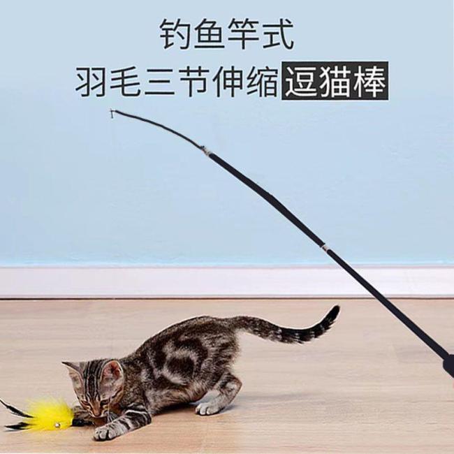 小猫第一次见这么大的逗猫棒 租房族互动新选择