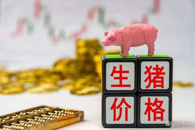 全国猪价已跌破5元 养殖业面临深度亏损