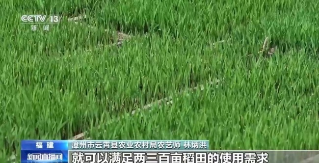 福建推广工厂化育苗提升育秧效率