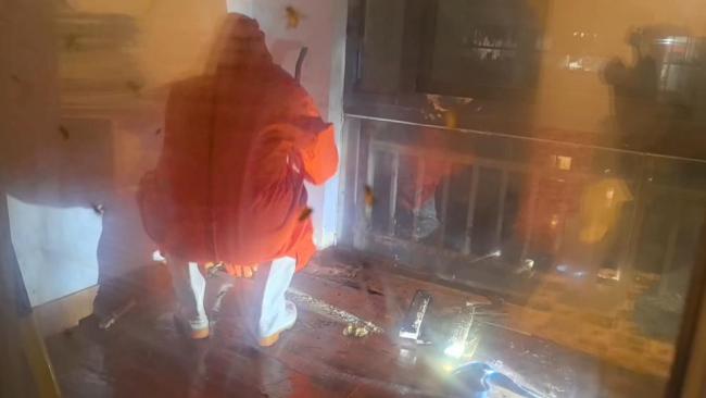 女子被蜜蜂骚扰两年求助消防