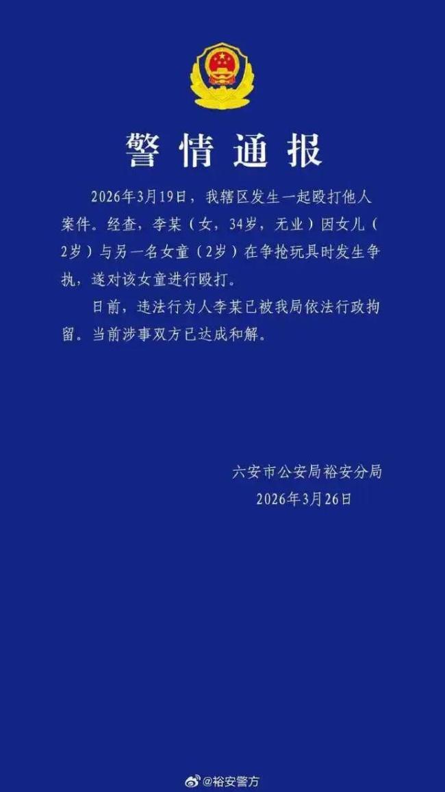 因抢玩具殴打2岁女童女子被行拘