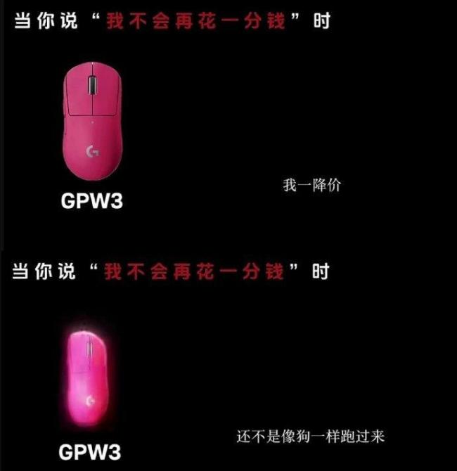 骂消费者像狗！罗技致歉热 不当营销引发众怒