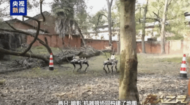 国产机器狼实战中可自主瞄准 构建系列化火力体系