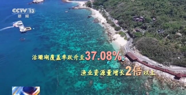 雨林探“花园” 来感受海南的“绿色脉搏”