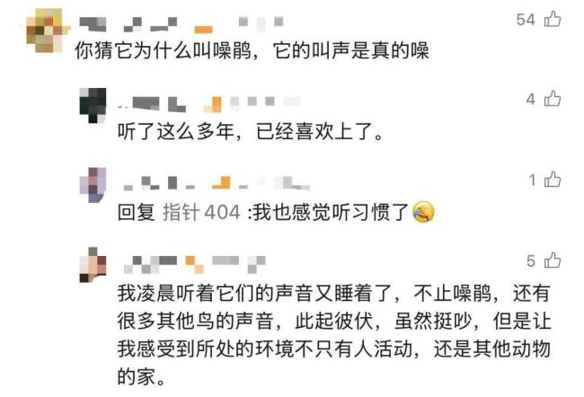 高三学生请求拆除鸟巢 校长回信拒绝 生命教育课引发热议