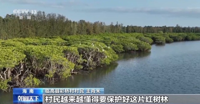 雨林探“花园” 来感受海南的“绿色脉搏”