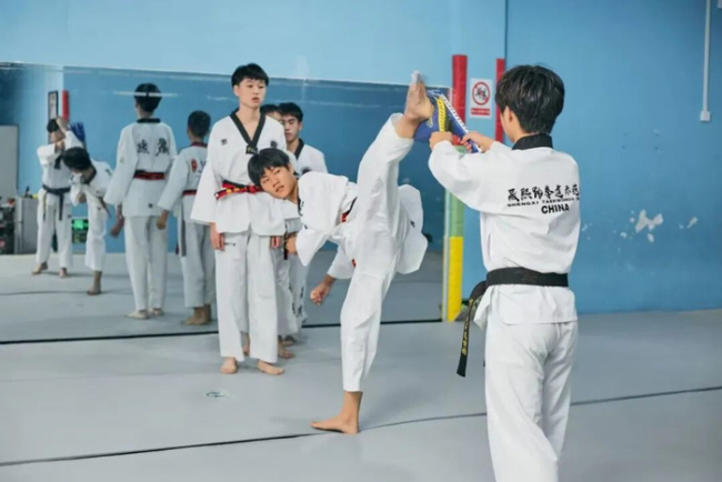 这届新兵的“含金量”有点高 多才多艺展风采