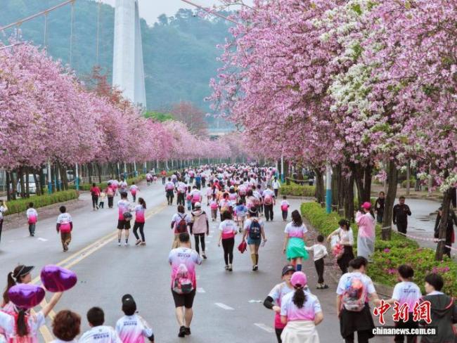 柳州全民跑开跑