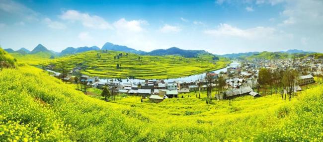 请查收春游贵州“优惠大礼包” 赏花体旅乐不停