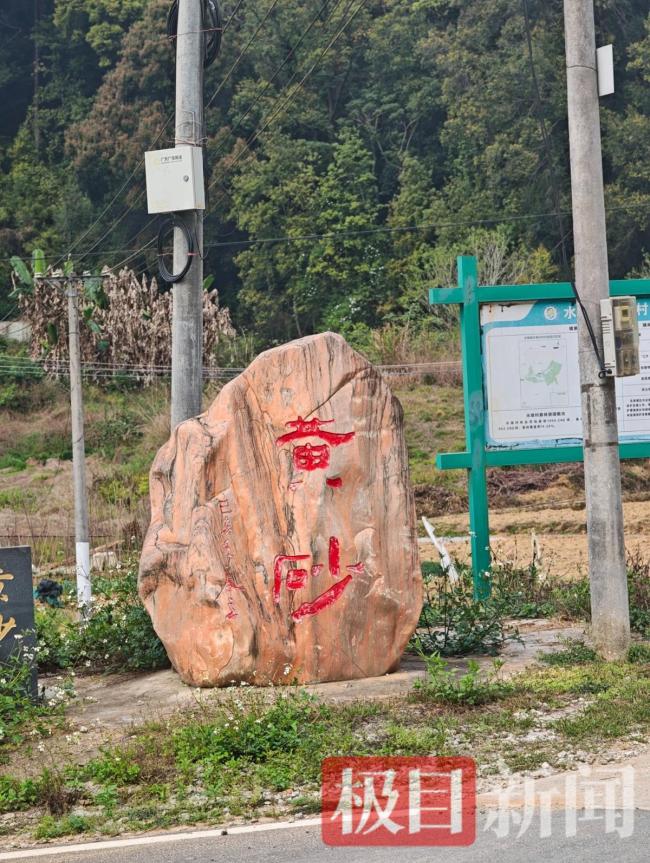 人贩子“梅姨”曾藏身小学对面 落网带来希望