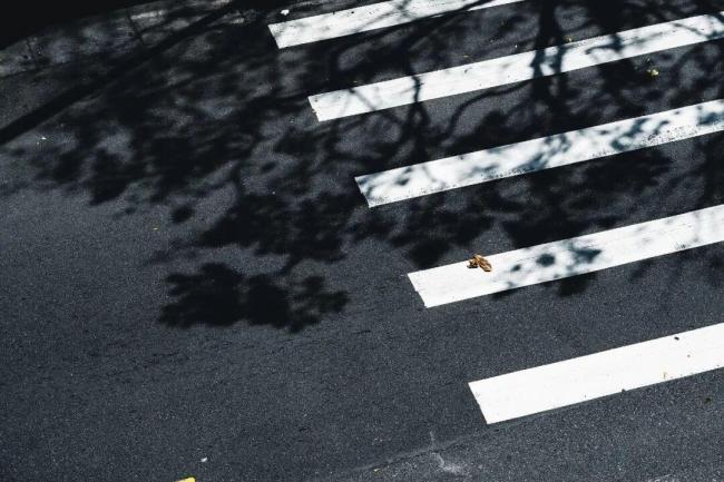 媒体：从反核到返核暴露绿营丑恶嘴脸