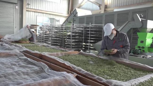 春耕一线扫描:精准施策 向新提质