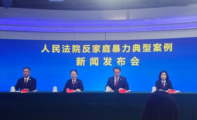 男子诉讼期违反保护令殴打妻子