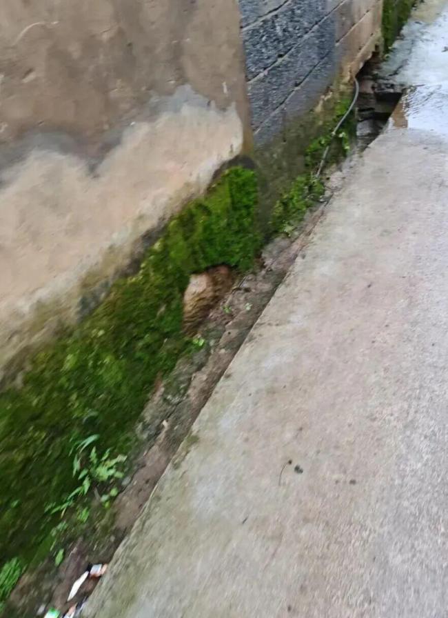 遭同学杀害女生父亲称希望杀人偿命 案件即将开庭