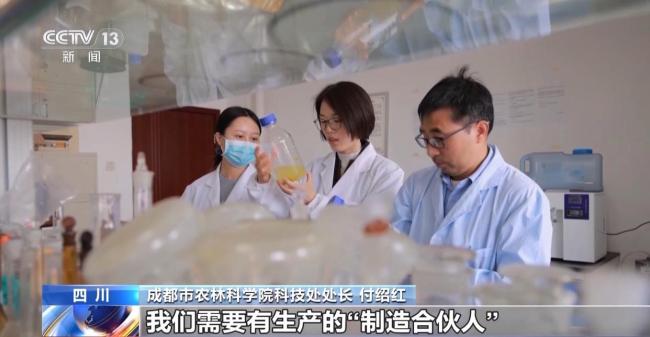 油菜花酸奶卖爆了 春耕合伙人的创新故事