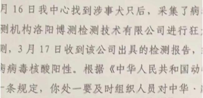 女子被狗咬伤3天后狗死了 狂犬病毒阳性引发担忧
