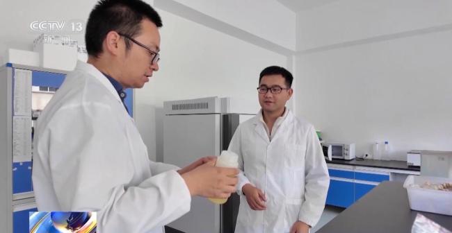 油菜花酸奶卖爆了 春耕合伙人的创新故事