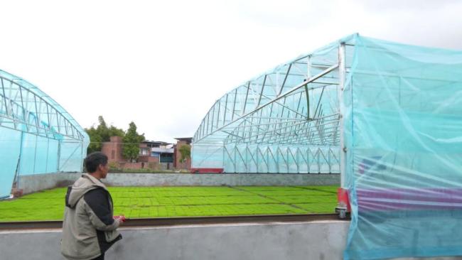 春耕一线扫描:精准施策 向新提质