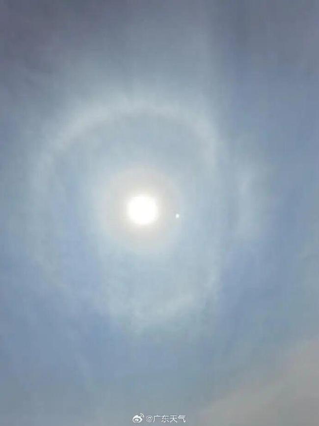 动物园“忧郁”淋雨狮子走红 心事重重引网友热议