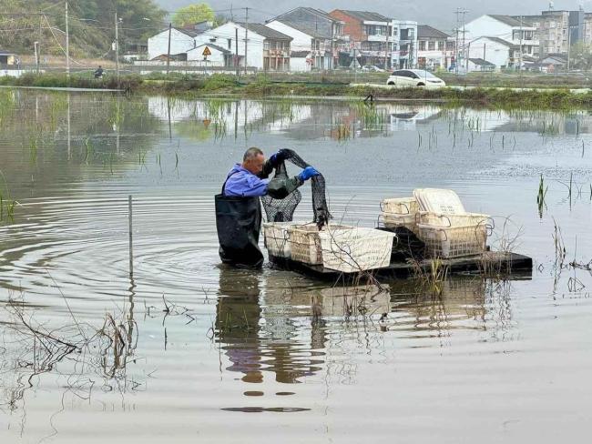 夜宵顶流小龙虾抢鲜上市