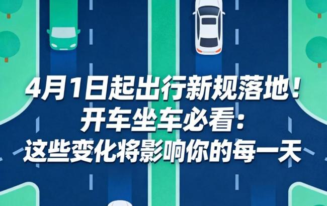 明日起后排乘客未系安全带将被处罚
