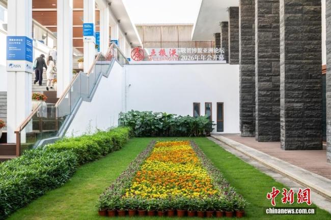 来自一杯酒的博鳌共鸣 和美共生见未来