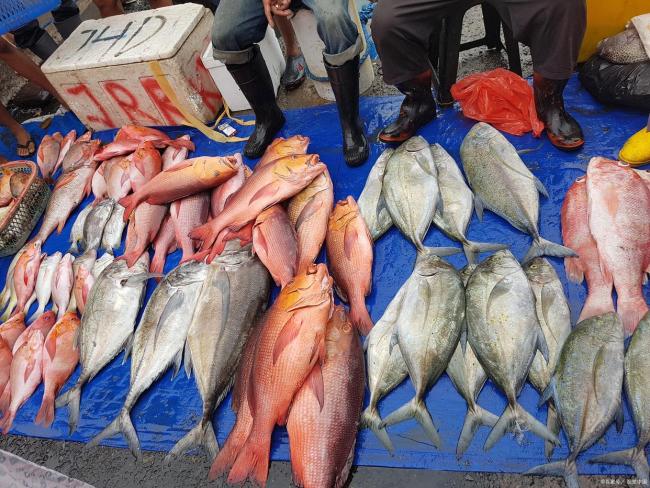 水产专家建议这6种鱼少吃