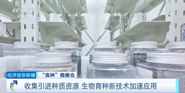 中国粮用上中国种 科技创新助力种业发展