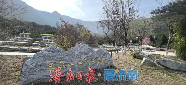 济南多举措让生态葬理念落地生根 绿色殡葬新风尚