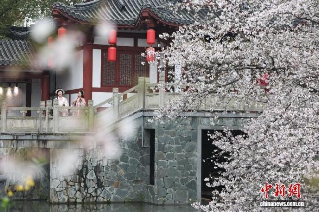 各地文旅colorwalk走起来了