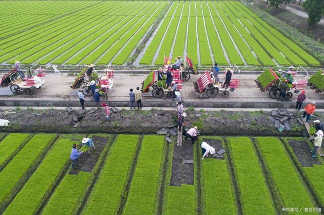 下周国内成品油价格将调整 油价有望迎来下调