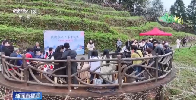 春天里的中国正上演“耕耘绽放”双重奏