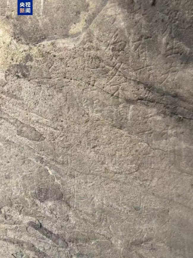 龙门石窟新发现一处石刻金刚经 唐代佛教刻经重要佐证